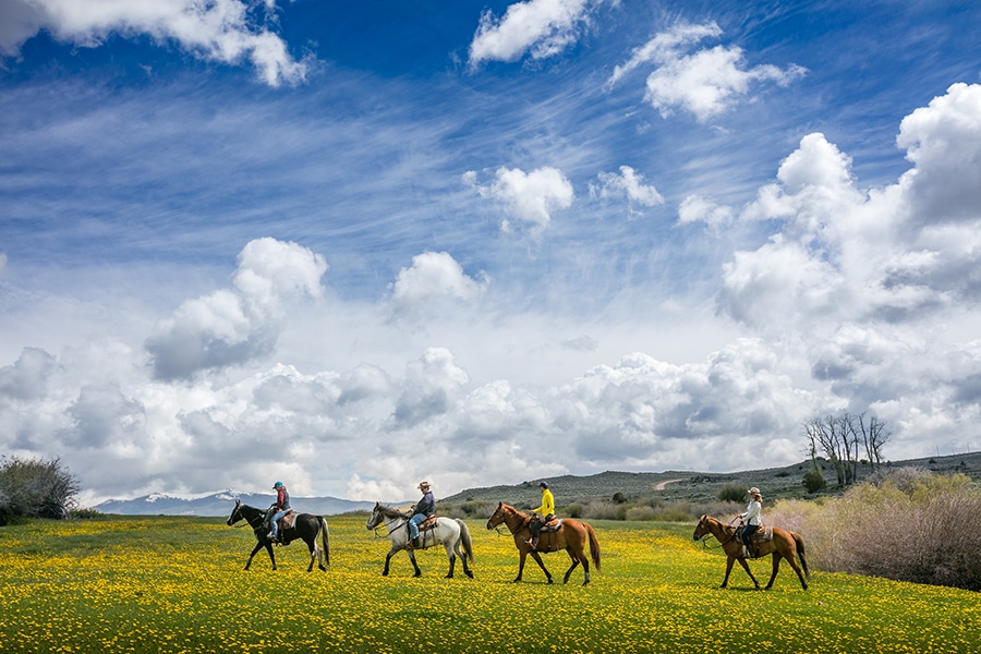 Actividades de Magee Lodge, como montar a caballo en el prado