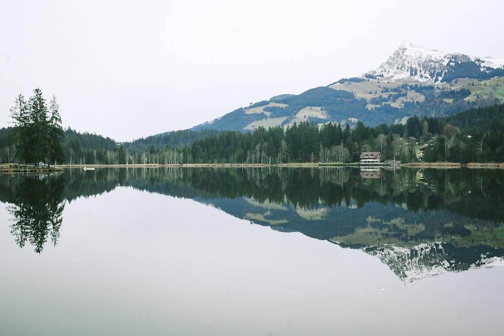 foto de paisaje de un lago junto a los árboles