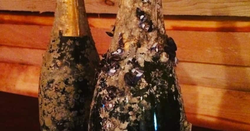 Champán más caro del mundo - Juglar Cuvée 1820
